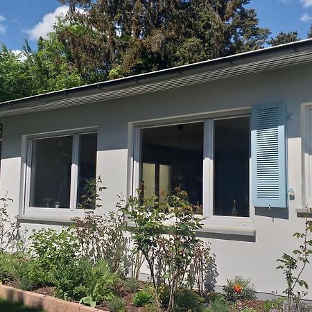 Gartenchalet Rotkehlchen باد هومبرغ فور دير هوه المظهر الخارجي الصورة