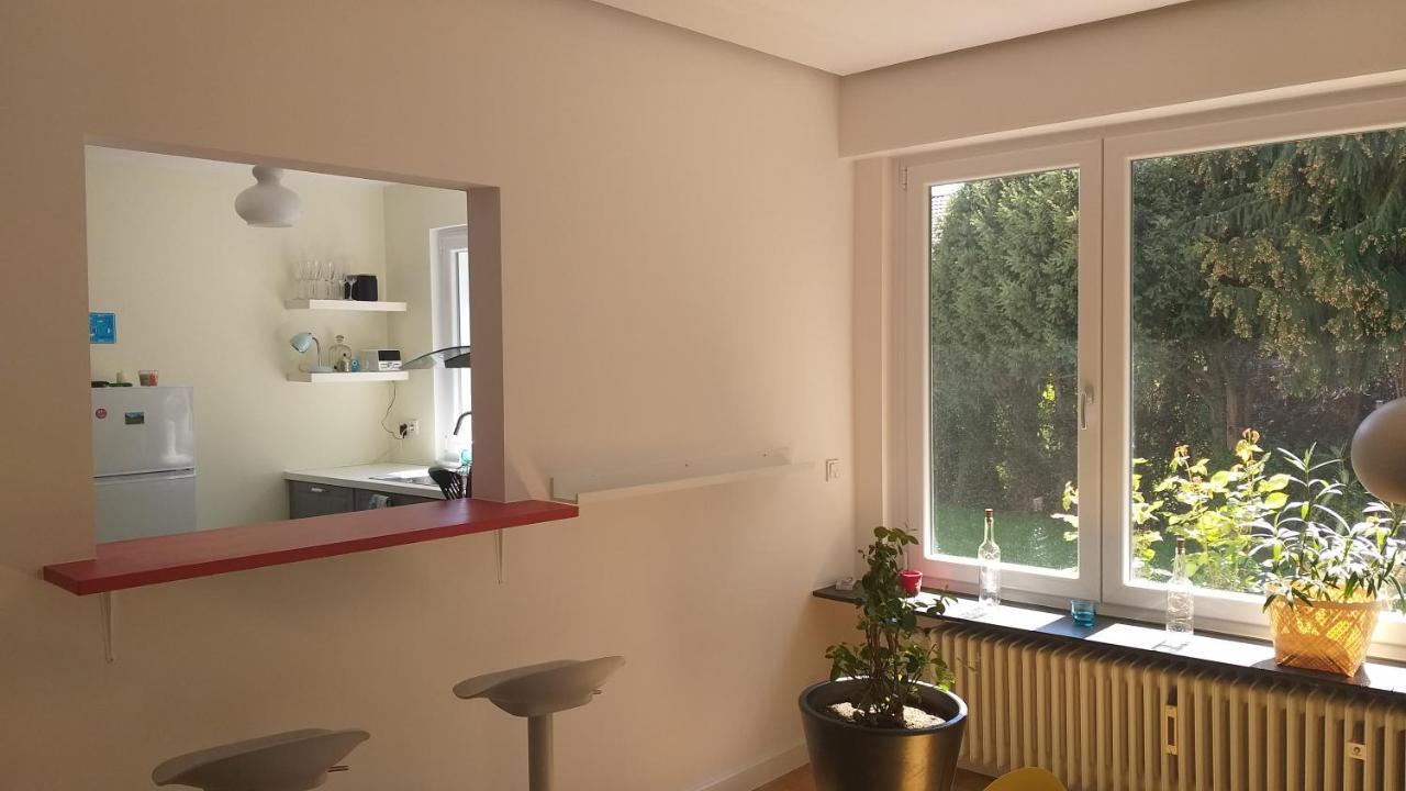 Gartenchalet Rotkehlchen باد هومبرغ فور دير هوه المظهر الخارجي الصورة